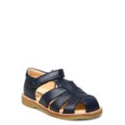 ANG2378_226021188