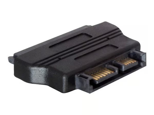 DeLOCK SATA adapter