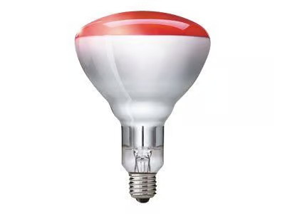 Philips BR125 IR-lamppu Punainen, E27 250W