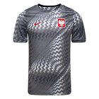 Puola Treenipaita Dri-FIT Academy Pro Pre Match - Harmaa/Harmaa/Punainen