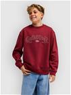 Quiksilver Graphic Crew Oversized Kids Neulepaita oxblood red Jätkät