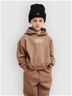 Quiksilver Tricks Boys Kids Huppari pine bark Jätkät