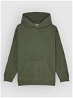 Element Lowcase Pigment Po Kids Huppari bronze green Jätkät