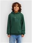 Quiksilver Comp Logo Kids Huppari forest Jätkät