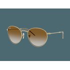 Aurinkolasit Ray-Ban Round Reverse RBR0103S 001/CB