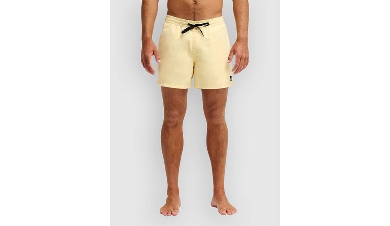 Quiksilver Everyday Solid Volley 15 Surffishortsit straw Miehet