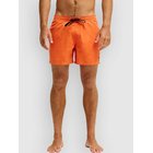 Quiksilver Everyday Solid Volley 15 Surffishortsit vermillon Miehet