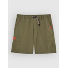 Quiksilver Bm Cyclone Cargo Surffishortsit grape leaf Miehet