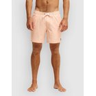 Quiksilver Stretch Printed Volley 16 Surffishortsit strerling blue beach daze Miehet