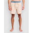 Billabong Ty Williams Surffishortsit multi Miehet