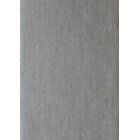 Igneous Titanium - EANT111143 Tapetti