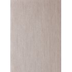 Igneous Shell - EANT111139 Tapetti