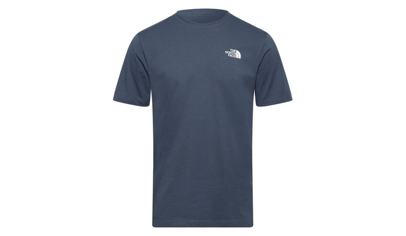 The North Face T-paita Evolution NSE Box - Harmaa