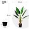 Lykke Strelitzia Tree 90cm tekokasvi – kuva 3