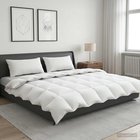 vidaXL Peitto FULDA 220 x 260 cm Talvi 300 GSM 90% hanhetäytettä