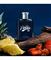 Ralph Lauren Polo 67 - EdP 40 ml – kuva 5