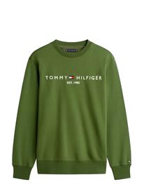 TOHMW0MW11596_232198757