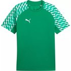 PUMA Treenipaita teamLIGA26 - Urheilu Vihreä/Valkoinen