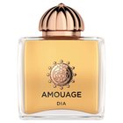 Amouage Dia Woman EDP 100 ml