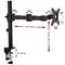 Näyttöteline NF11 – kuva 2