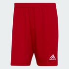 Adidas Shortsit Entrada 22 Red H61735 H61735/2XL