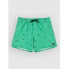 Quiksilver Stretch Printed Volley 16 Surffishortsit leprechaun spaced out Miehet