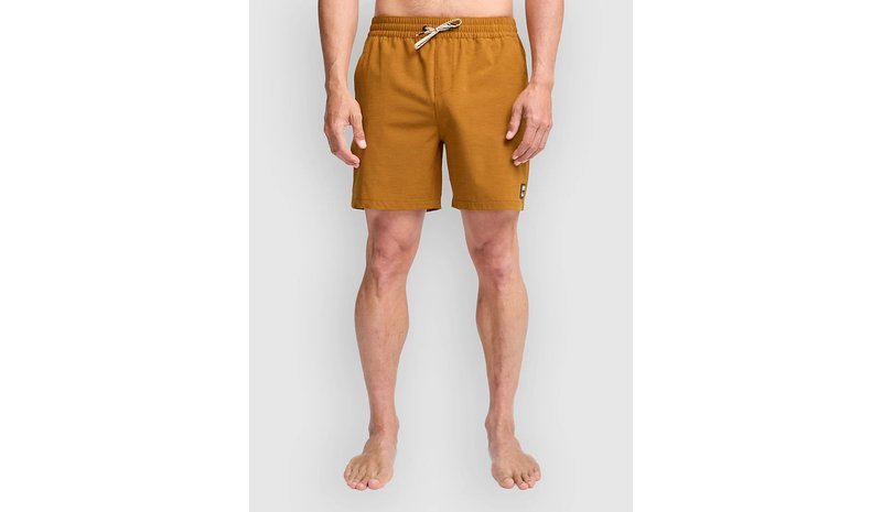 Billabong Every Other Day Surffishortsit spice gold Miehet