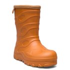 PAX7260806_227275119