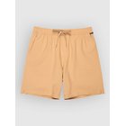 Quiksilver Taxer Amphibian 18 Surffishortsit khaki Miehet