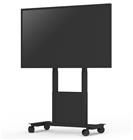 SMS Func - Max 120 kg - recommended for From 46"
