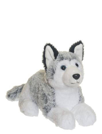 Teddykompaniet Pehmolelu Husky 25 cm