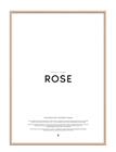PFA012-ROSEACRYLIC_227389377