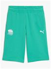 Puma Ryhmä Hau Rennot Polvipituiset Shortsit, Vihreät, 104