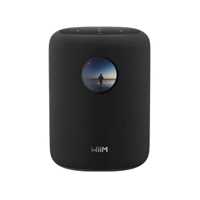 WiiM Sound - Smart Speaker - Black