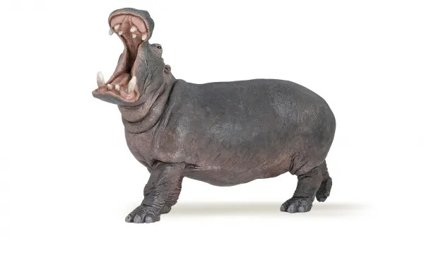 Virtahepo