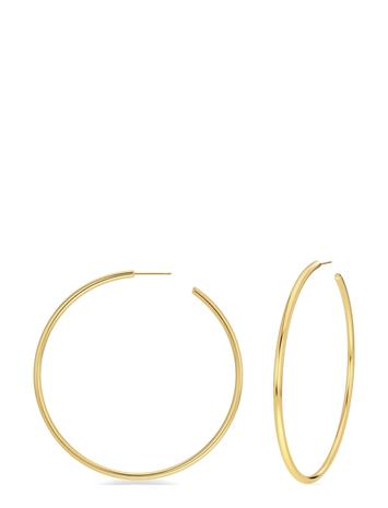 Edblad Hoops korvakorut Gold Large 105866