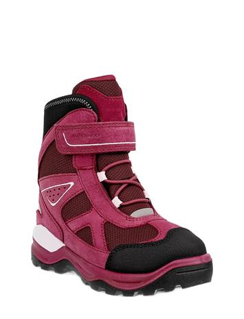 Ecco Snow Mountain GTX Talvikengät, Black/Red Plum/Dark Ruby, 34