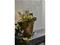 EGLO SOLAR LIGHT STRIP 5M 600MA CLEAR – kuva 5