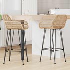 vidaXL Baarituoli 2 kpl Luonnollinen 55 x 52 x 105 cm Roikka ja rauta