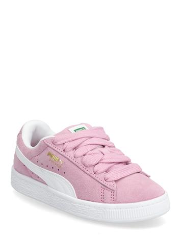 PUM396578_230563280 – kuva 1/3