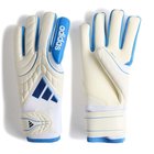 adidas Maalivahdin Hanskat Copa Pro Chaos vs Control - Valkoinen/Hopea/Lucid Ray Blue/Navy