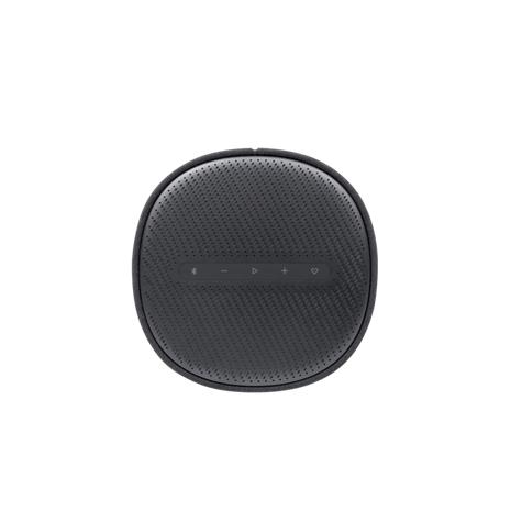 Harman Kardon Enchant, kaiutin