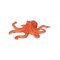 Mojo - Sealife Octopus – kuva 1