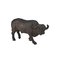 Mojo Wildlife Buffalo – kuva 1