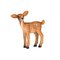 Mojo Wildlife White-tailed Deer Calf – kuva 1