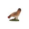 Mojo Farmland Eating Chicken – kuva 1