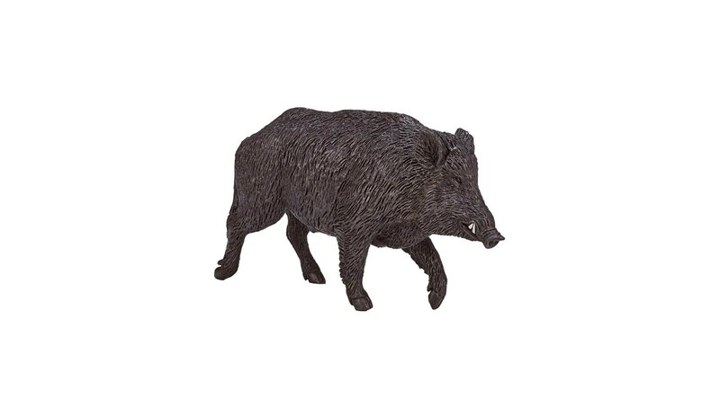 Mojo - Wildlife Wild Boar Male – kuva 1/1