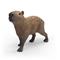 Schleich Capybara – kuva 7
