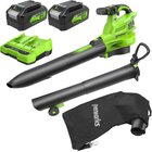 Greenworks BL48L421-01 2x24V 2x4,0Ah, akkulehtipuhallin/-imuri