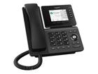 Gigaset P810 IP PRO - NFR -